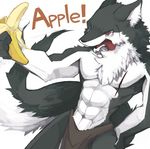  abs angry anthro apple banana biceps black_fur canine chest_tuft doing_it_wrong english_text food fruit fur grey_fur humor loincloth male mammal muscles open_mouth pecs plain_background pose red_eyes scar shin_(artist) solo standing text toned tongue tongue_out topless tuft underwear what white_background white_fur wolf 