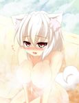  animal_ears bad_id bad_pixiv_id blush breasts censored cleavage collarbone commentary convenient_censoring crying hajime_(ak-r) inubashiri_momiji large_breasts nude open_mouth pink_eyes silver_hair solo steam steam_censor sweat tail touhou wet wolf_ears wolf_tail 