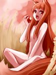  animal_ears apple brown_hair fangs food fruit holo long_hair motty88 nude red_eyes solo spice_and_wolf tail wheat wolf_ears wolf_tail 