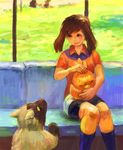  bike_shorts closed_eyes gen_3_pokemon haruka_(pokemon) headwear_removed petting pokemon pokemon_(creature) pokemon_(game) pokemon_rse poochyena sitting torchic yuza 