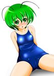  bad_id bad_pixiv_id cameltoe fat_mons highres school_swimsuit solo swimsuit tera_hiroshi touhou wriggle_nightbug 