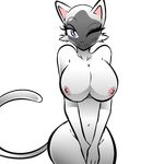  2013 alpha_channel big_breasts blue_eyes breasts cat feline female hayakain invalid_tag looking_at_viewer navel nipples nude one_eye_closed smile solo white_fur wink 