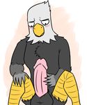  apollo avian balls big_penis bird blush eagle luigiman male masturbation nintendo penis solo video_games 