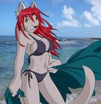  beach bikini canine clothing f4814n female hair mammal navel orange_eyes pose red_hair seaside smile solo standing swimsuit tight_clothing towel 