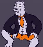  boxer_briefs bulge camcartoonfanatic clothing dapper male mammal necktie open_shirt polar_bear shirt solo spread_legs spreading ties underwear 