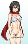  1girl akpngn_ha asahina_hikage black_hair bra mikasa_ackerman navel pussy scarf shingeki_no_kyojin short_hair uncensored underwear 