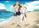  2017 4_toes 5_fingers anthro barefoot beach biceps biped black_nose blue_bottomwear blue_clothing blue_sky brown_eyebrows brown_fur brown_nose brown_stripes brown_tail bulge bull_terrier canine casey_(artist) chest_tuft claws clothed clothing cloud day detailed_background digital_media_(artwork) dog duo ear_piercing eye_contact eyebrows front_view fur grey_claws grey_eyes hug male mammal multicolored_fur multicolored_nose muscular muscular_male navel nipples orange_eyes outside pecs piercing pink_nipples pink_nose pit_bull royce_(hurst) sand sea seaside signature sky smile smirk speedo standing striped_fur stripes swimming_trunks swimsuit terrier toe_claws toes topless tuft two_tone_fur two_tone_nose vincent_(hurst) water white_bottomwear white_clothing white_fur 