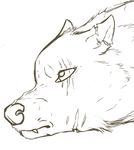  canine digipixelfluff eye hi_res line_art mammal monochrome notched_ear sad scar scared scares sketch snarling the-howler wolf 