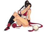  1girl ass emilio_martã­nez_epigmenio fan fatal_fury ponytail pop-lee shiranui_mai simple_background sitting snk solo 