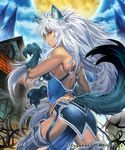  animal_ears armor back bad_id bad_pixiv_id bare_shoulders breasts full_moon large_breasts long_hair looking_back lunar_werewolf moon nott red_eyes shingeki_no_bahamut silver_hair solo tail wolf_ears wolf_tail 
