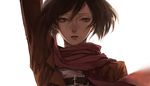  black_eyes black_hair highres mikasa_ackerman mitsukyon scarf shingeki_no_kyojin solo 