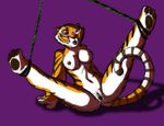  dreamworks feline female kung_fu_panda mammal master_tigress solo tiger 
