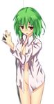  blush bottomless breasts cleavage green_hair highres ichiman_nisen_yen kazami_yuuka long_sleeves looking_at_viewer medium_breasts naked_shirt navel open_clothes open_mouth open_shirt red_eyes shirt solo touhou 