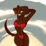  anthro bikini bow canine chocolate_labrador clothing dog ear_piercing female floppy_ears gem gemwist green_eyes grin hands_behind_head lab labrador mammal piercing polka_dots pose solo sunset swimsuit tight_clothing wide_hips 