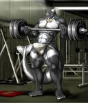  abs akamai anthro barbell biceps big_muscles black_skin bodybuilder bodybuilding bulge cetacean erection grey_eyes grey_skin grin gym hindpaw inside jockstrap male mammal marine muscles navel necklace nipples orca paws pecs penis pose smile solo standing sweat thighs toned topless underwear vein weightlifting weights whale white_skin working_out workout zorro_re 