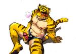  balls big_muscles blush body_markings erection feline fur gamma-g male mammal markings morenatsu muscles nude pecs penis solo tiger torahiko_ooshima unknown_artist 