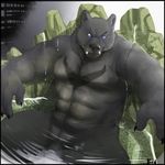  bear beast biceps male muscles nude penis 
