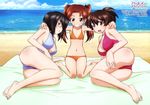  absurdres ass barefoot beach bikini black_eyes black_hair blush breasts brown_eyes brown_hair feet girls_und_panzer grin highres itou_takeshi kadotani_anzu kawashima_momo koyama_yuzu long_hair lying medium_breasts monocle multiple_girls navel ocean official_art on_side red_eyes red_hair scan short_hair sitting smile swimsuit twintails wariza water 