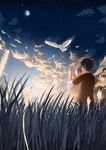  bad_id bad_pixiv_id bird copyright_request from_behind grass mizunashi_kenichi scenery sky solo star_(sky) starry_sky sunset 