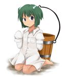  bad_id bad_pixiv_id barefoot bucket goro green_eyes green_hair hair_bobbles hair_ornament kisume oversized_clothes short_hair sleeves_past_fingers sleeves_past_wrists solo touhou twintails wooden_bucket 