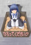  210ten animal_ears box dress for_adoption frederica_bernkastel in_box in_container purple_eyes solo tail umineko_no_naku_koro_ni 