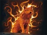  canine feral fire flames low_res mammal night warm_colors wolf 