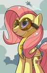  clothing cloud clouds cutie_mark docwario equine eyewear feathers female feral fluttershy_(mlp) flying friendship_is_magic fur goggles hair horse long_hair mammal medal my_little_pony pegasus pink_hair pony silhouette sky smile wings wonderbolts_(mlp) yellow_fur 