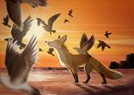  avian avoid_posting bird canine conditional_dnp feral fox mammal outside sunset tani_da_real water wet 