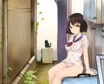  arm_support bad_id bad_pixiv_id black_cat black_hair blush breasts cat ginji74 leaf medium_breasts nipples original panties pipes school_uniform see-through short_hair sitting smile solo underwear wet wet_clothes wet_hair white_panties yellow_eyes 