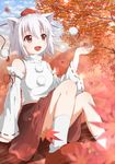  animal_ears autumn detached_sleeves fang hat highres inubashiri_momiji leaf open_mouth red_eyes short_hair silver_hair sitting socks solo suke_(momijigari) tokin_hat touhou wolf_ears 