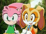  clothing cream_the_rabbit cub cute duo female hedgehog krazykacophony lagomorph mammal rabbit rosy_the_rascal sega smile sonic_(series) young 