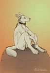  2013 anthro canine collar coyote crypsis male mammal nude sitting solo 