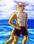  biceps big_muscles cheetah feline male mammal mel_fluff muscles nipples outside seaside sky solo swimsuit trunks_(clothing) 