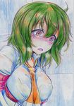 1girl absurdres blush crying green_hair highres kazami_yuuka kitaziman nichibotsu_(kitaziman) red_eyes tears touhou traditional_media 