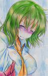  1girl absurdres blush crying eyes_closed green_hair highres kazami_yuuka kitaziman nichibotsu_(kitaziman) tears touhou traditional_media 