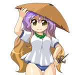  ajirogasa blush breasts brown_hair buruma gradient_hair hat hijiri_byakuren jewelry long_hair medium_breasts multicolored_hair necklace purple_hair smile solo touhou transparent_background vajra_(object) winn yellow_eyes 