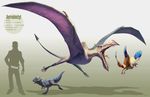  aerodactyl animated archen arvalis bones cranidos pokemon realistic silhouette 