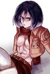  abs bad_id bad_pixiv_id black_hair breasts brown_eyes emblem isamu jacket medium_breasts mikasa_ackerman paradis_military_uniform scarf shingeki_no_kyojin short_hair solo training_corps_(emblem) 