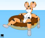  anthro anthrofied bikini clothing female hamster hamtaro_(series) latiken mammal rodent sitting solo swimsuit tight_clothing water 