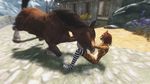  discombobulation equine feline horse khajiit socks the_elder_scrolls the_elder_scrolls_v:_skyrim video_games 