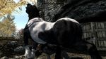  anal anal_penetration animal_genitalia cgi equine feline feral fur gay horse horsecock khajiit male mammal penetration penis the_elder_scrolls the_elder_scrolls_v:_skyrim unknown_artist video_games 