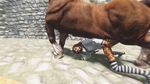  animal_genitalia bestiality breasts discombobulation equine feline female feral horse horsecock interspecies khajiit male mammal ohmes-raht penis sex socks straight the_elder_scrolls the_elder_scrolls_v:_skyrim video_games 