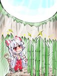  bamboo blush bow fujiwara_no_mokou hair_bow highres long_hair manhole pants red_eyes ribbon shinapuu shovel silver_hair smirk suspenders touhou very_long_hair 