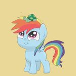  blue_fur duo equine eyes female feral friendship_is_magic fur hair horse mammal multi-colored_hair my_little_pony pegasus plain_background pony purple_eyes raibow_hair rainbow_dash_(mlp) rainbow_hair smile spicyhamsandwich tank_(mlp) tortoise wings 