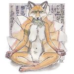  canine female fox foxia mammal nude 