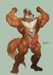  animal_genitalia animal_penis anthro balls canine canine_penis erection flexing fox goroguro knot male mammal muscular muscular_male nude penis smile solo standing 