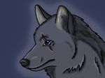  blue_eyes canine fur grey_fur mammal scar solo tithenluin traced tracing wolf 