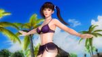  1girl 3d beach bikini black_hair breasts brown_eyes dead_or_alive dead_or_alive_5 large_breasts lei_fang long_hair midriff official_art palm_tree solo swimsuit tecmo tree twintails 
