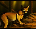  anatomically_correct blue_eyes cat daesiy feline feral mammal ruins solo wallpaper 