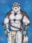  2018 abs anthro canine clothing digital_media_(artwork) fur headband hetaniel hi_res horkeukamui male mammal multicolored_fur muscular muscular_male nipples pecs simple_background solo tokyo_afterschool_summoners video_games white_fur wolf 